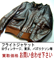 �t���C�g�W���P�b�g�@���捸��